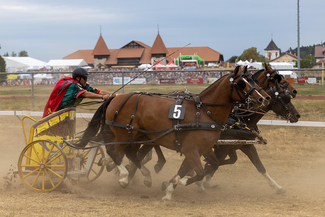 丝基础和历 丝基础和历