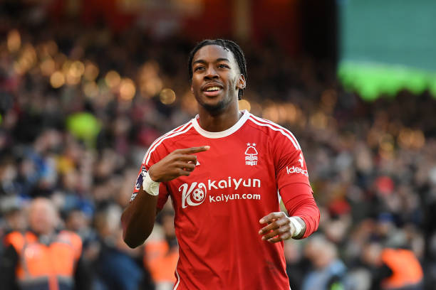 稳定和球迷 稳定和球迷